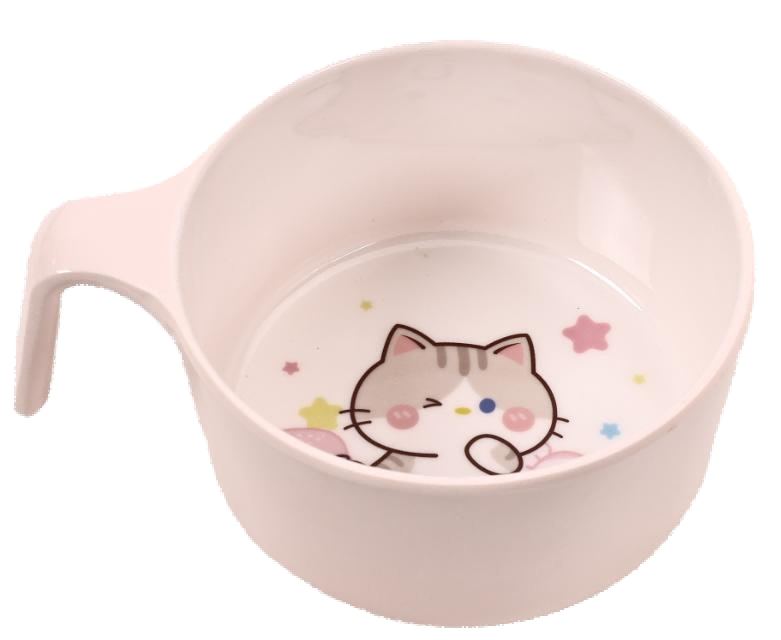 猫咪和小兔