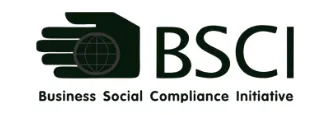 “bsgi”