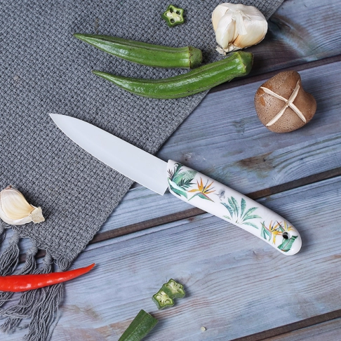 kitchen knife