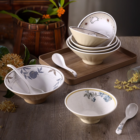 Noodle & Ramen Bowls