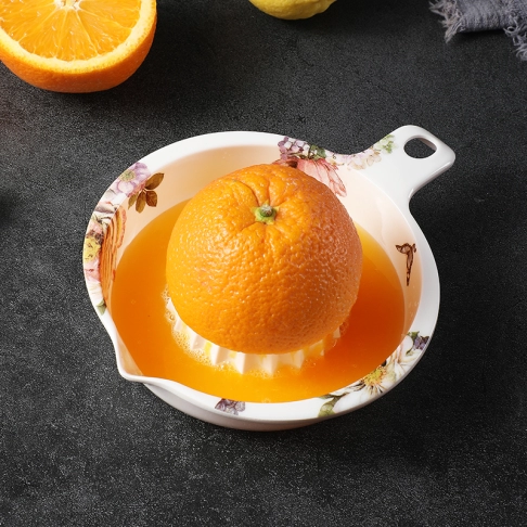 Juicer
